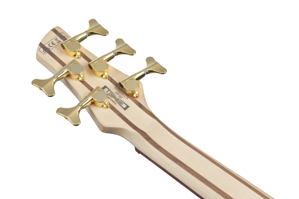 Hlavní obrázek 5strunné IBANEZ SR305EDX-WZM - Wine Red Frozen Matte