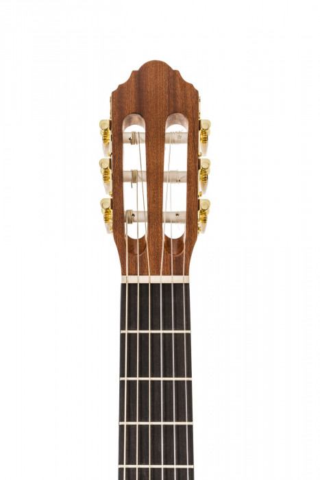 Hlavní obrázek 4/4 PEAVEY Delta Woods CNS-1 - Natural