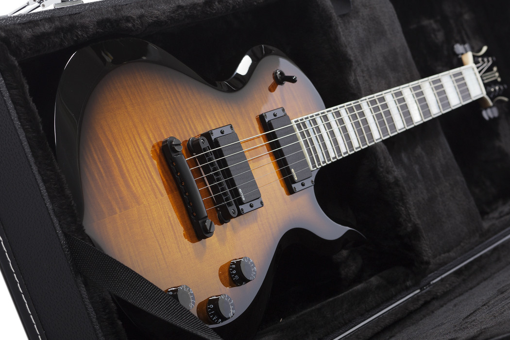 Hlavní obrázek Tvrdá pouzdra SCHECTER WA-OB-01 Odin Barbarian Hardcase