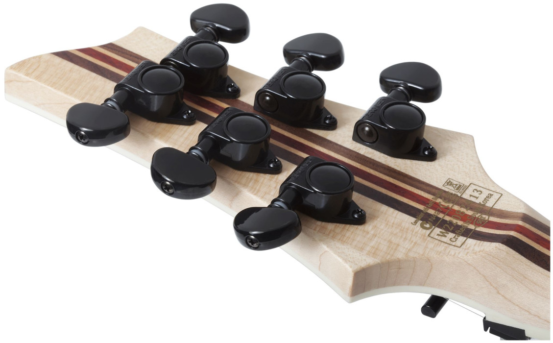 Hlavní obrázek Superstrat SCHECTER C-1 FR S SLS Elite - Blood Burst