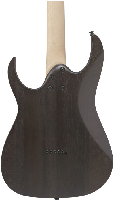 Hlavní obrázek Superstrat IBANEZ RGR431PB-CGF - Charcoal Gray Flat