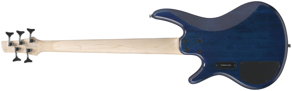 Hlavní obrázek 5strunné IBANEZ GSR205 - Blue Moon Burst