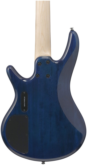 Hlavní obrázek 5strunné IBANEZ GSR205 - Blue Moon Burst