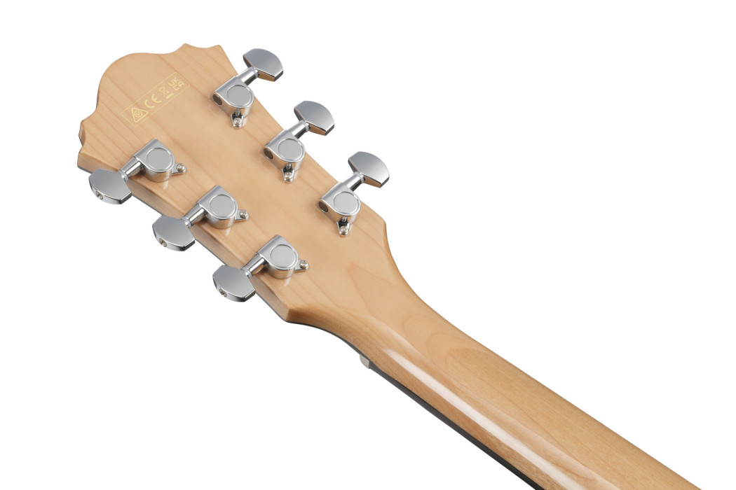 Hlavní obrázek Další tvary IBANEZ AE170-NTR - Natural High Gloss