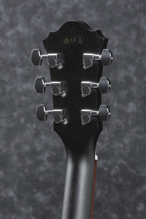 Hlavní obrázek Další tvary IBANEZ AE295-WK - Weathered Black