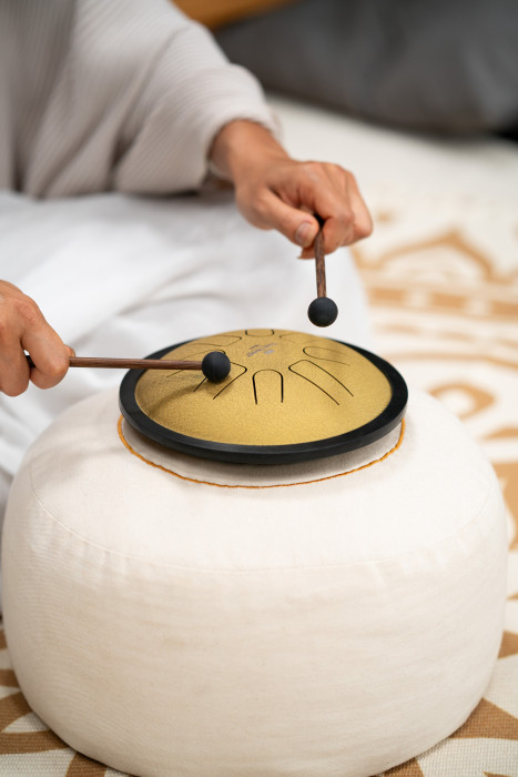 Hlavní obrázek Melodické nástroje MEINL Sonic Energy SSTD3G Small Steel Tongue Drum 7” - Gold