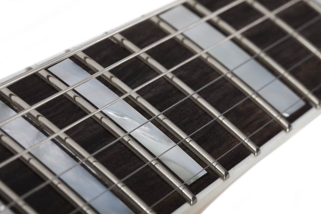 Hlavní obrázek Hard&heavy SCHECTER Wylde Audio Odin Grail - RawTop/Bullseye