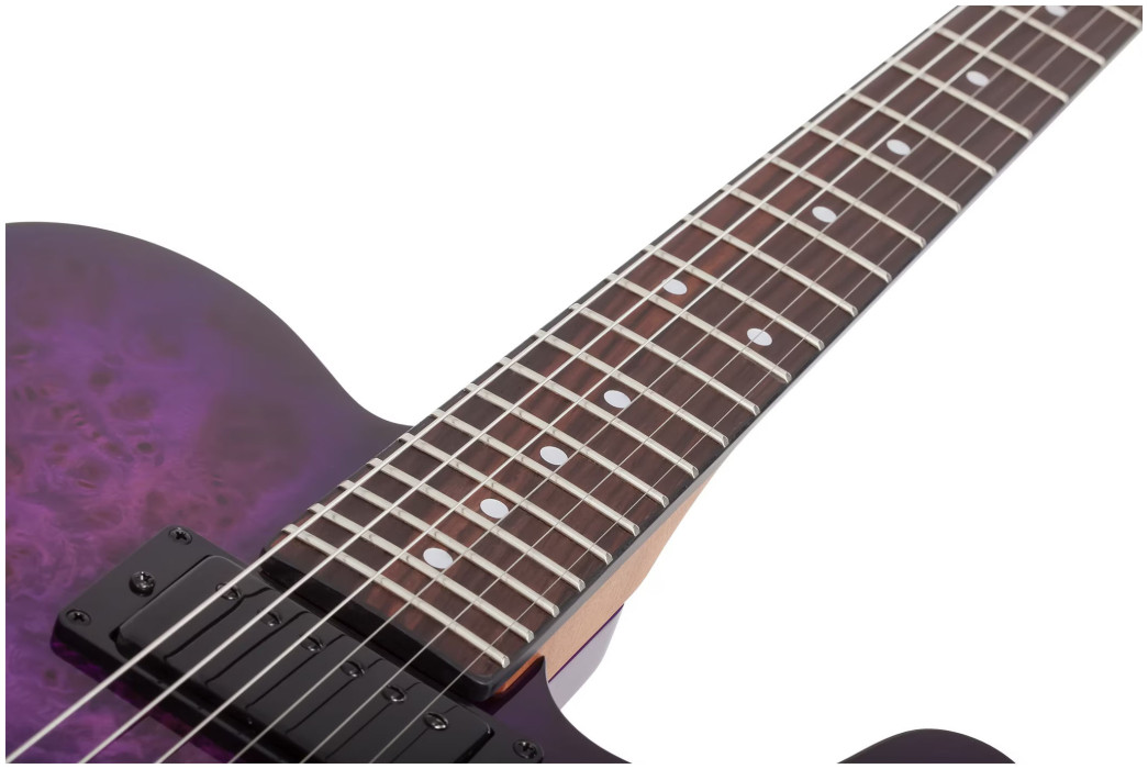 Hlavní obrázek T - modely SCHECTER PT Standard - Purple Burst Burl