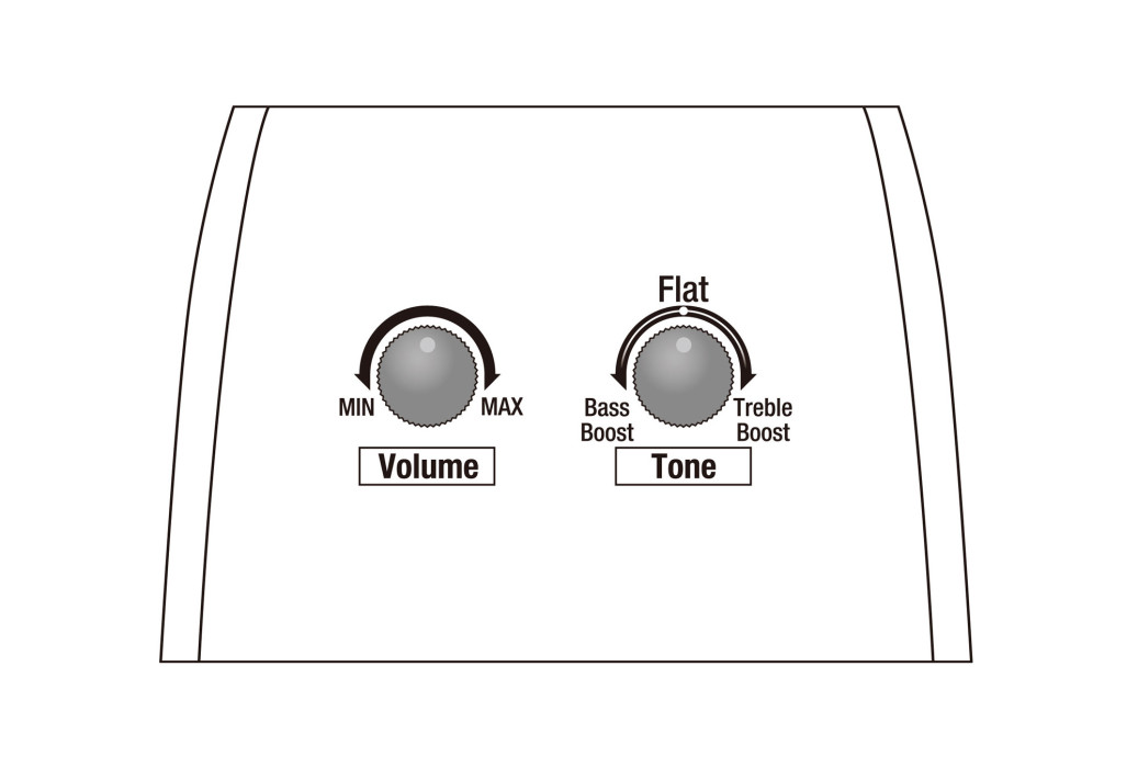Hlavní obrázek Další tvary IBANEZ AE295-WK - Weathered Black