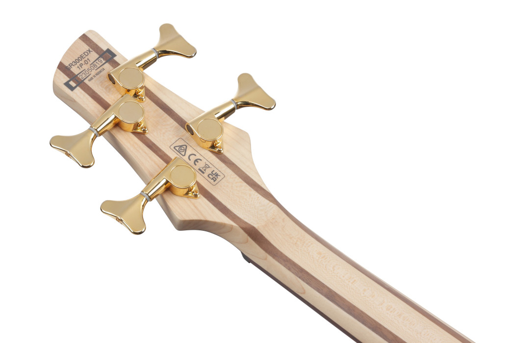 Hlavní obrázek Hard&heavy IBANEZ SR300EDX-BZM - Black Ice Frozen Matte