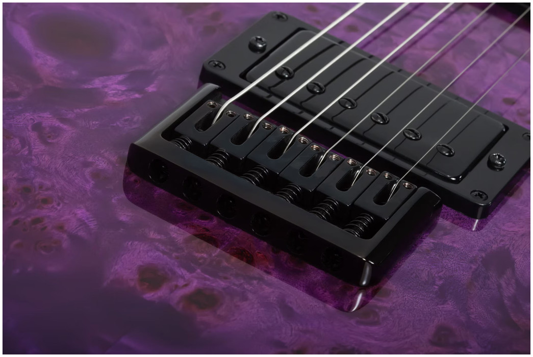 Hlavní obrázek T - modely SCHECTER PT Standard - Purple Burst Burl