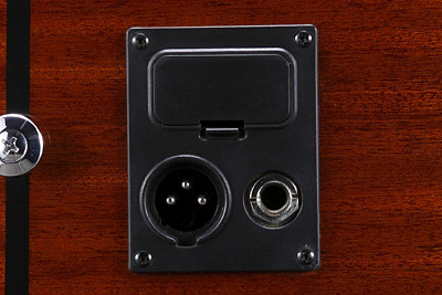 Hlavní obrázek Dreadnought IBANEZ AW 250 ECE LG