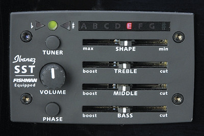 Hlavní obrázek Dreadnought IBANEZ AW 250 ECE LG