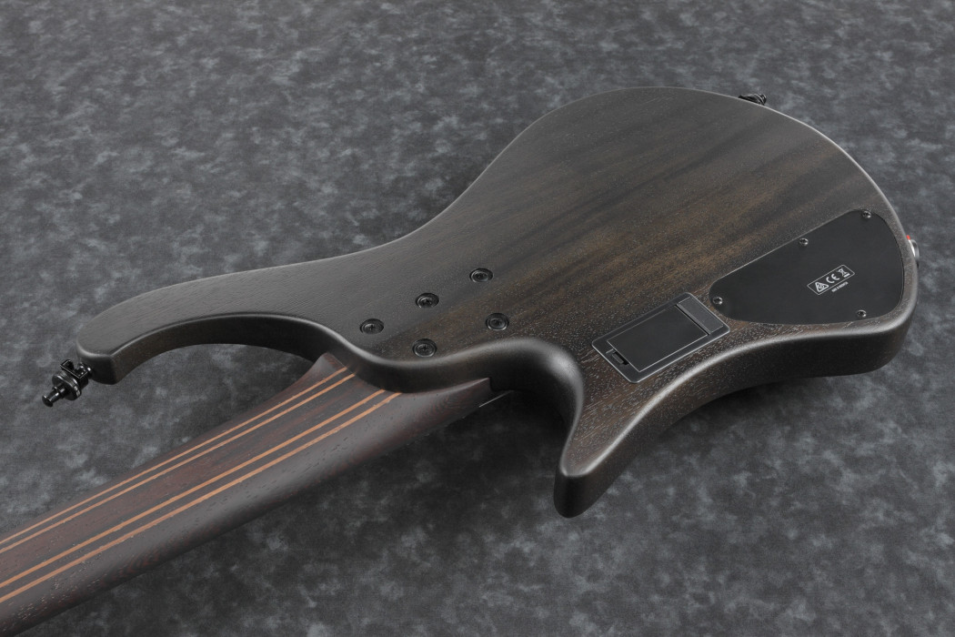 Hlavní obrázek 5strunné IBANEZ EHB1505MS-BIF - Black Ice Flat