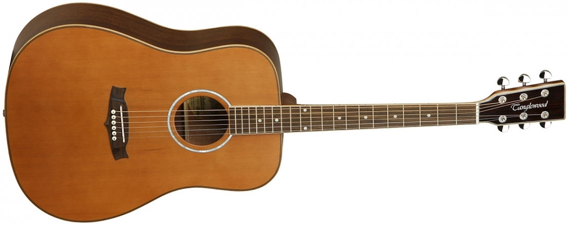 Hlavní obrázek Dreadnought TANGLEWOOD TW28 SOLID, akustická kytara