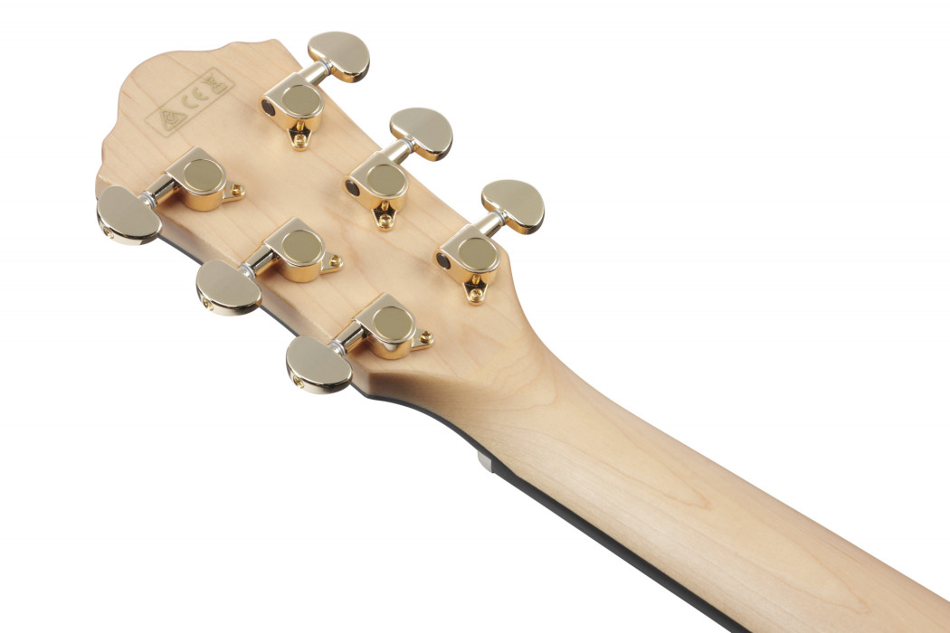 Hlavní obrázek Další tvary IBANEZ AEG750-NT - Natural