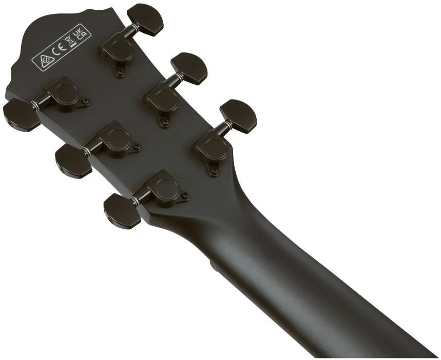 Hlavní obrázek Jumbo IBANEZ AEG621-BOT - Black Out