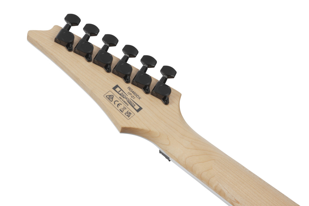 Hlavní obrázek Superstrat IBANEZ RG460DX-BLH - Blue Haze