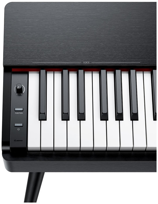 Hlavní obrázek Digitální piana DONNER Oura S100