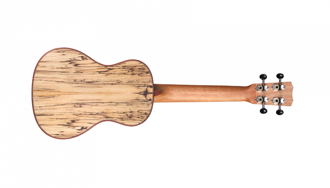 Hlavní obrázek Akustické kytary a ostatní CORDOBA 24C Spruce - Natural