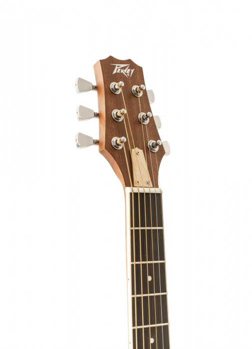 Hlavní obrázek Akustické kytary a ostatní PEAVEY Delta Woods DW-1 - Natural