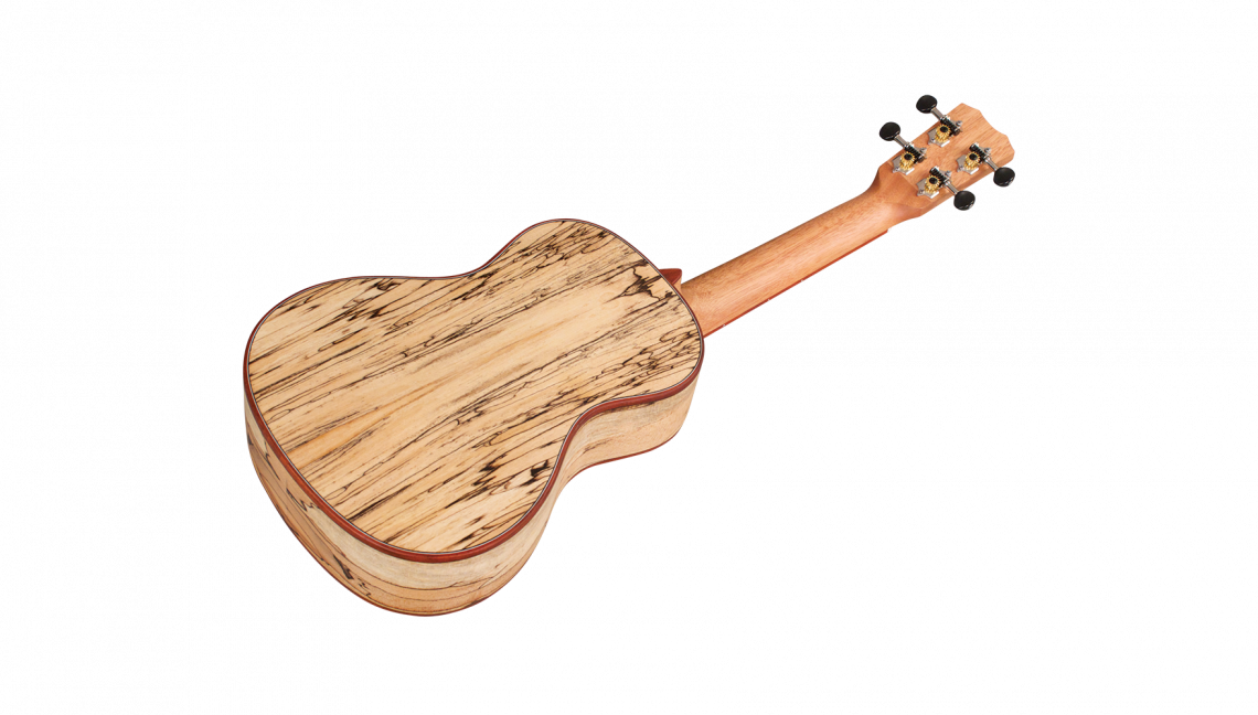 Hlavní obrázek Akustické kytary a ostatní CORDOBA 24C Spruce - Natural