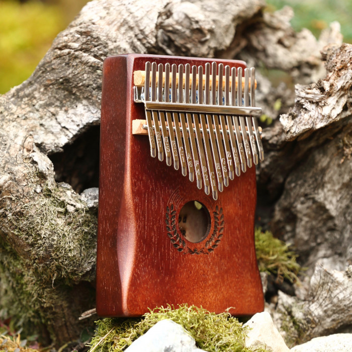 Hlavní obrázek Kalimby WOODMAN Kalimba - Dark Brown