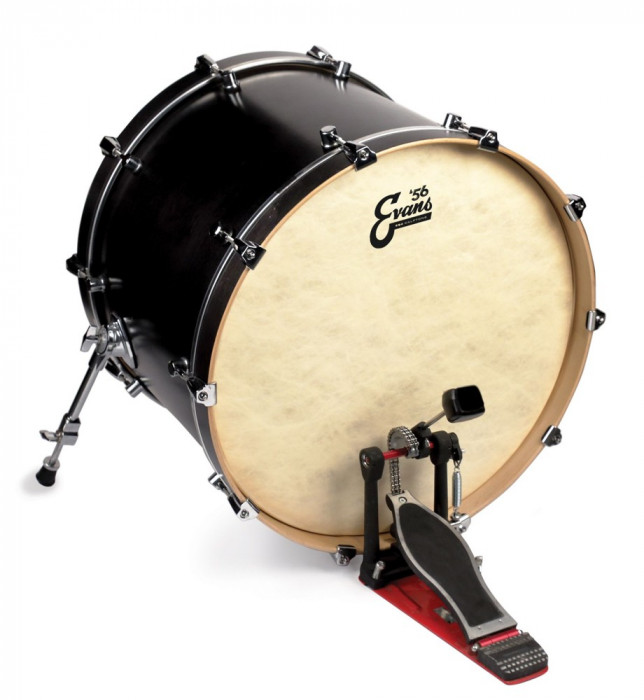 Hlavní obrázek 16" EVANS BD16GB4CT EQ4 ’56 Calftone 16” Bass