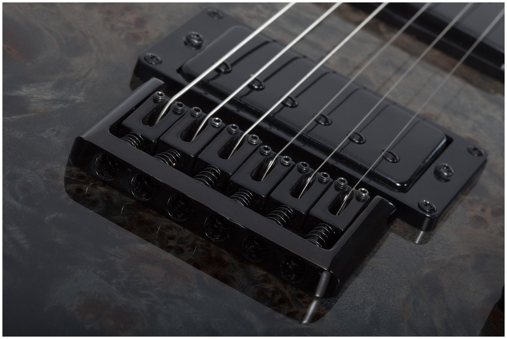 Hlavní obrázek ST - modely SCHECTER C-1 Standard - Black Fade Burst Burl