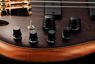 Hlavní obrázek Alternativní  IBANEZ SR5000E OL Rosewood Fignerboard - Oil