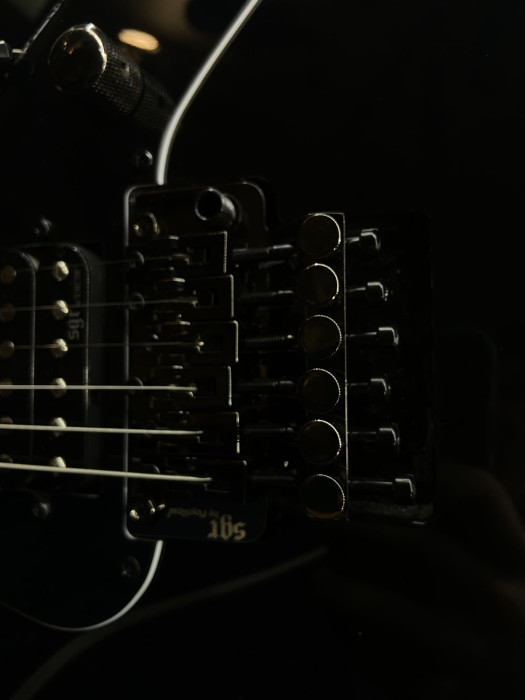 Hlavní obrázek Elektrické kytary SCHECTER Banshee SGR 6 FR Black B-Stock