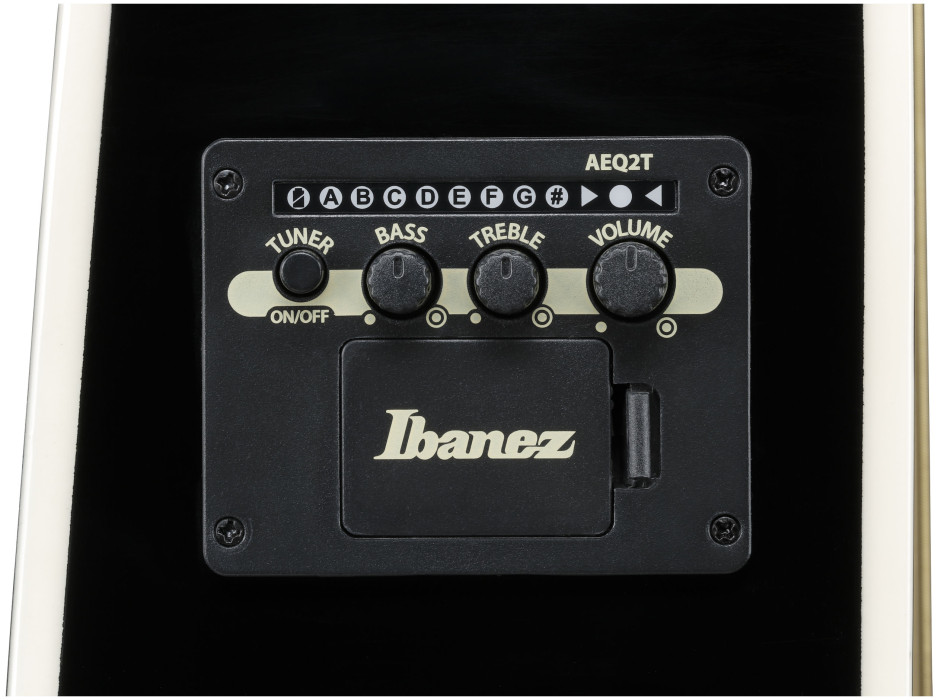 Hlavní obrázek Další tvary IBANEZ ALT50FA-TVT - Transparent Violet Sunburst High Gloss