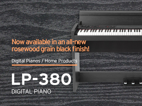 Hlavní obrázek Digitální piana KORG LP-380 RWBK