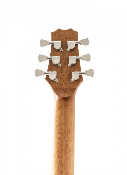 Hlavní obrázek Akustické sety PEAVEY Delta Woods DW-1 - Natural BTS SET