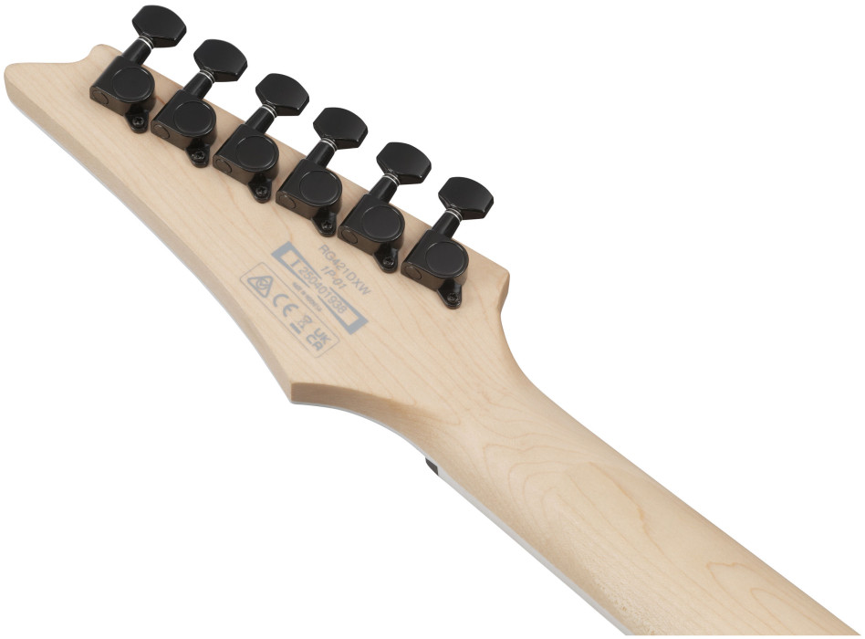 Hlavní obrázek Superstrat IBANEZ RG421DX-TWS - Twilight Shade