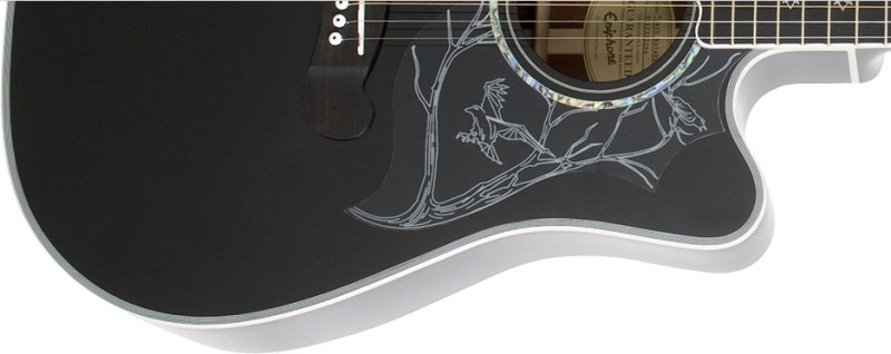 Hlavní obrázek Dreadnought EPIPHONE Dave Navarro Signature Ebony