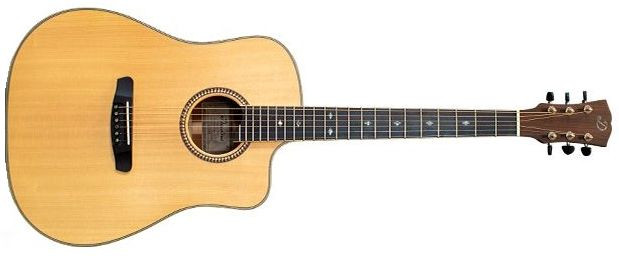 Hlavní obrázek Dreadnought DOWINA Chardonnay DCE-s Natural