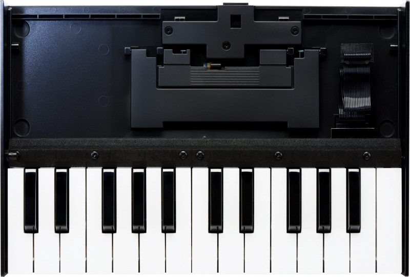 Hlavní obrázek MIDI keyboardy ROLAND K-25m