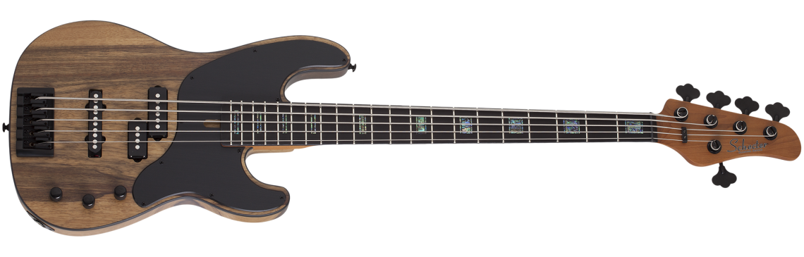 Levně Schecter Model-T 5 Exotic - Natural Satin