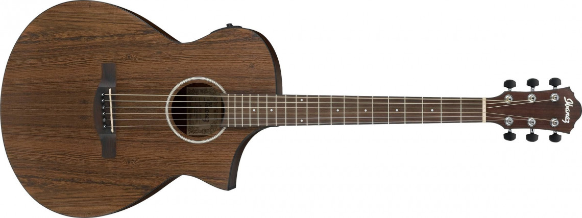 Hlavní obrázek Dreadnought IBANEZ AEWC31BC Open Pore Natural