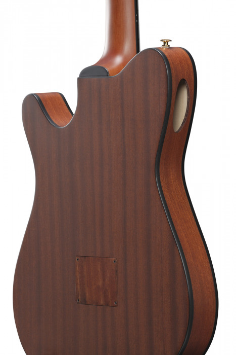 Hlavní obrázek Další tvary IBANEZ FRH10N-NTF - Natural Flat