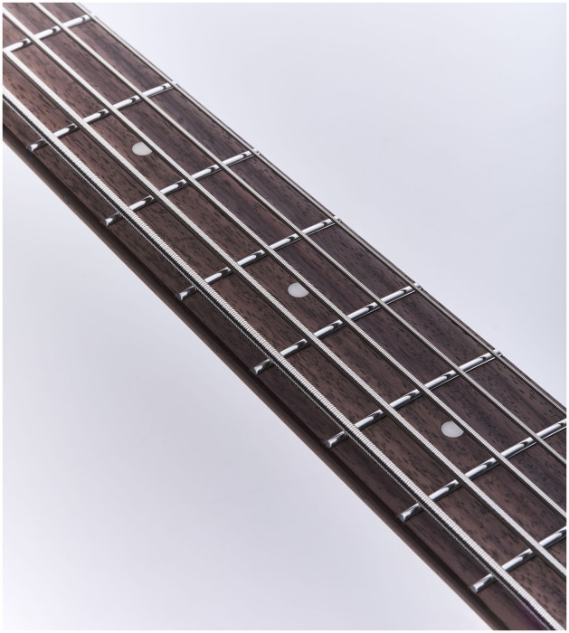 Hlavní obrázek 5strunné IBANEZ MDM1605-DTW - Deep Twilight