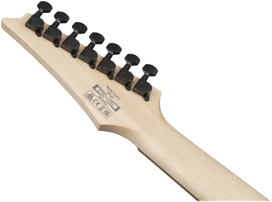 Hlavní obrázek 7strunné IBANEZ RGA742EX-BAM - Black Aurora Burst Matte