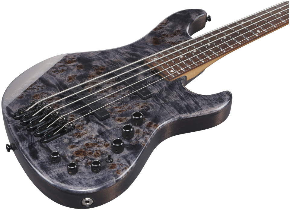 Hlavní obrázek 5strunné IBANEZ MDM1605-DTW - Deep Twilight