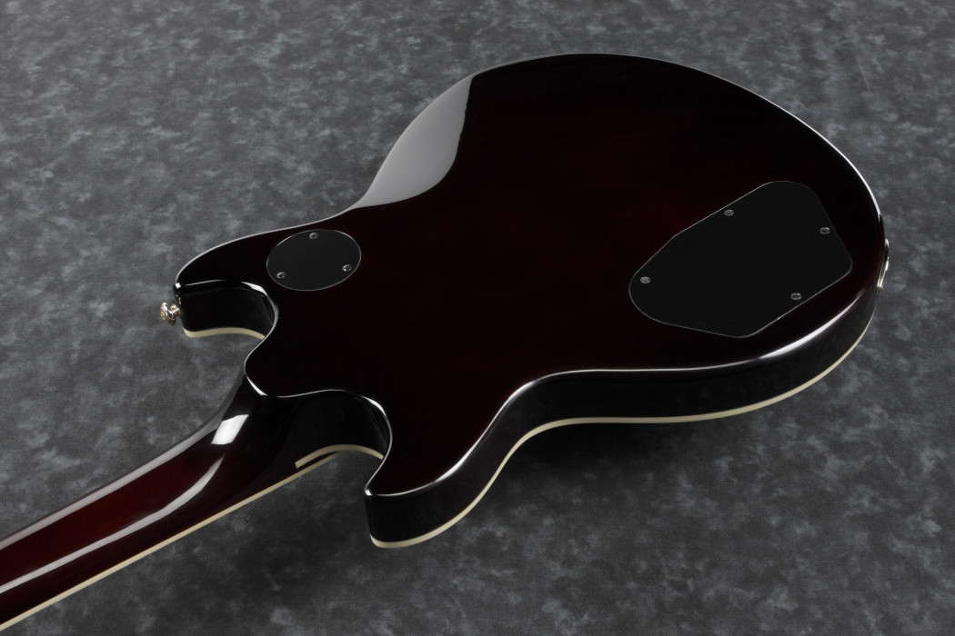 Hlavní obrázek Alternativní IBANEZ AR420-TBG - Transparent Blue Gradation