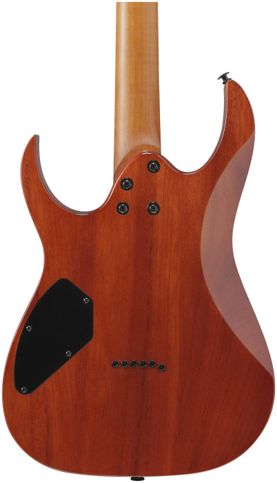 Hlavní obrázek Superstrat IBANEZ GRGR221FA-TDK - Transparent Indigo Black