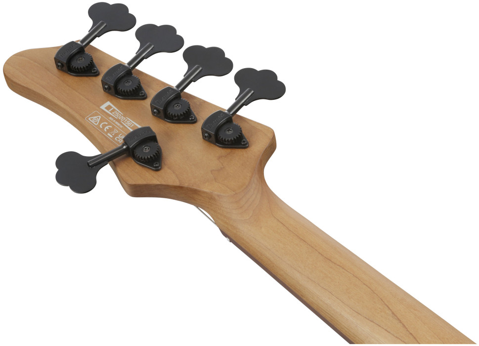 Hlavní obrázek 5strunné IBANEZ MDM1605-DTW - Deep Twilight