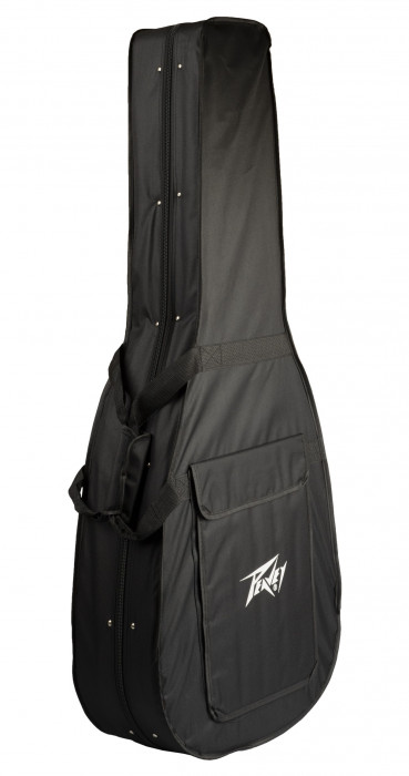 Hlavní obrázek Akustické kytary a ostatní PEAVEY Delta Woods DW-2 with Case - Natural