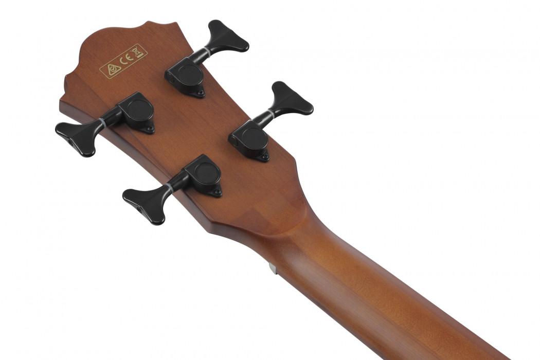 Hlavní obrázek Akustické baskytary IBANEZ AEGB30E-NTG - Natural High Gloss