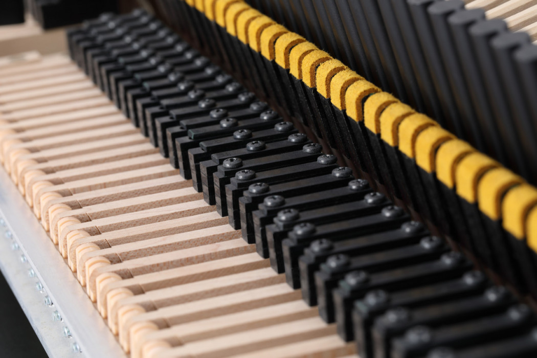 Hlavní obrázek Digitální piana KAWAI NV10 S